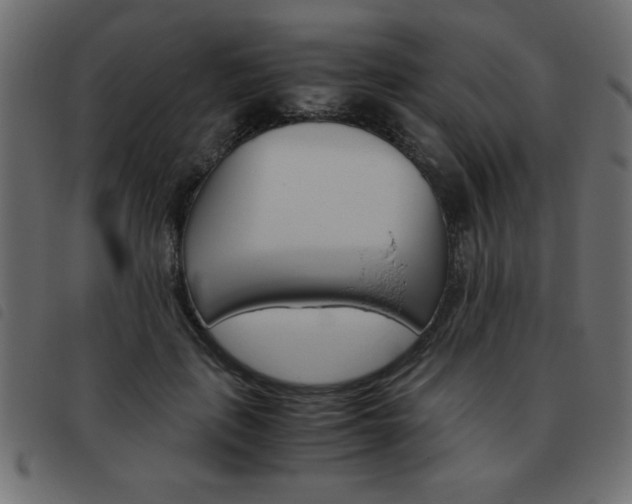 X0000093460651200710120951