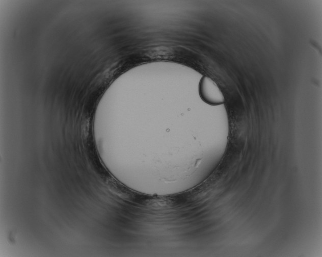 X0000093460652200710120951