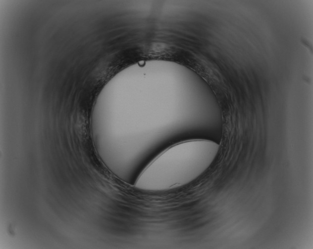X0000093460653200710120951