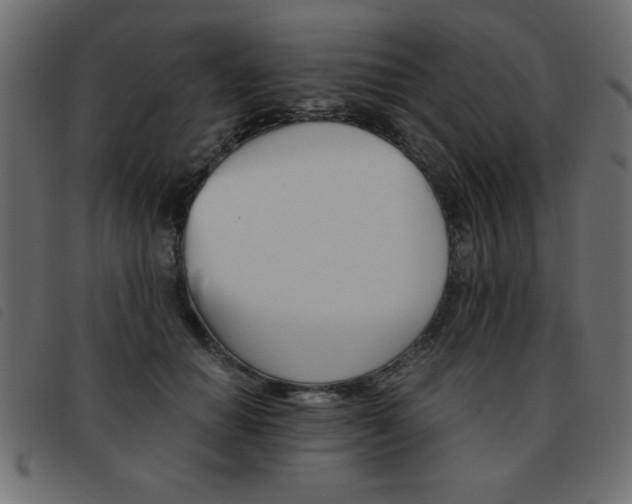 X0000093460654200710120951