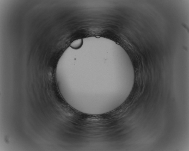 X0000093460655200710120951
