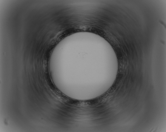 X0000093460656200710120951