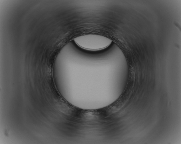 X0000093460657200710120951