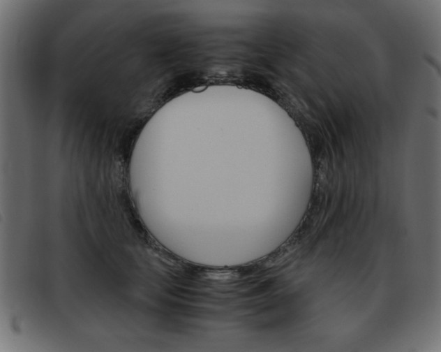 X0000093460659200710120951