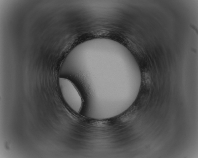 X0000093460664200710120951