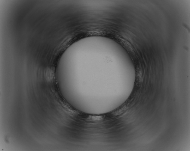 X0000093460665200710120951