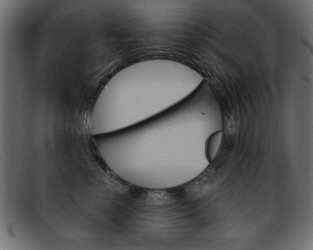 X0000093460666200710120951