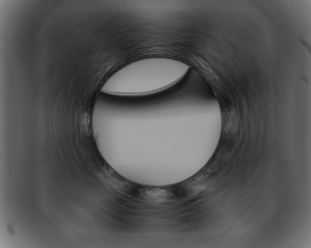 X0000093460669200710120951