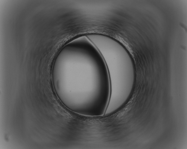 X0000093460673200710120950