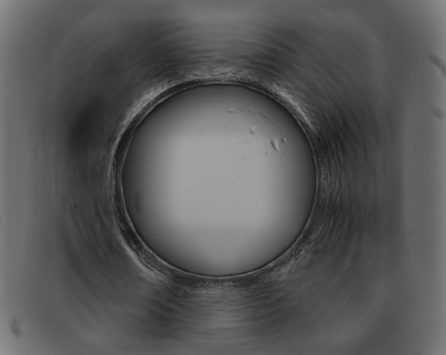 X0000093460674200710120950