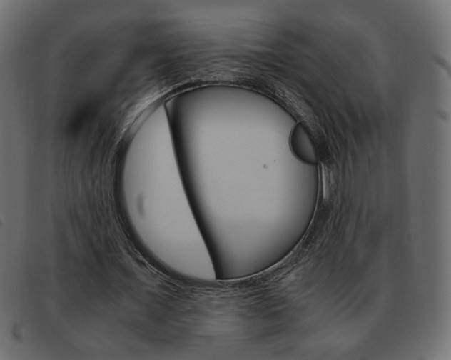 X0000093460675200710120950