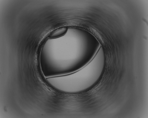X0000093460676200710120950