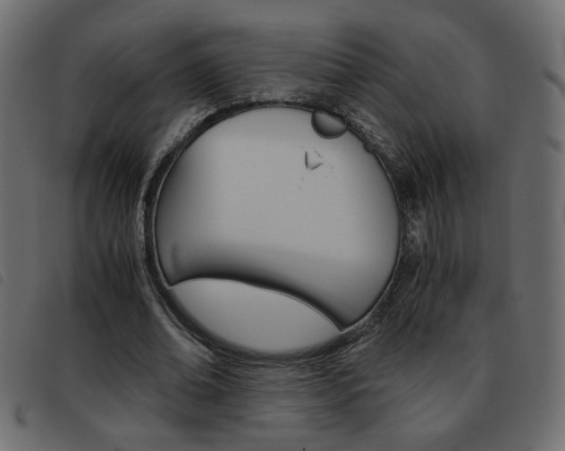 X0000093460678200710120950