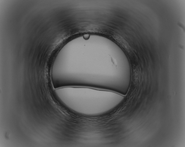 X0000093460680200710120950