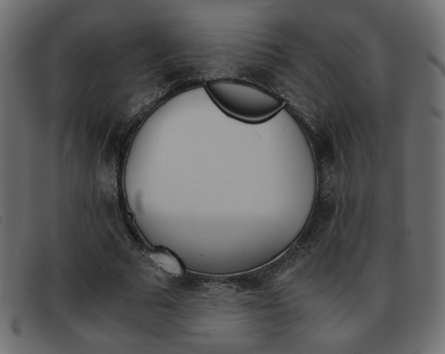 X0000093460681200710120950