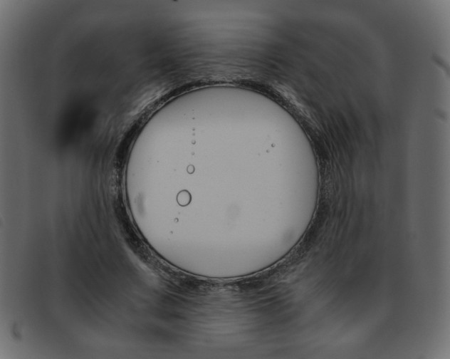 X0000093460683200710120950