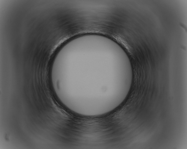 X0000093460684200710120950