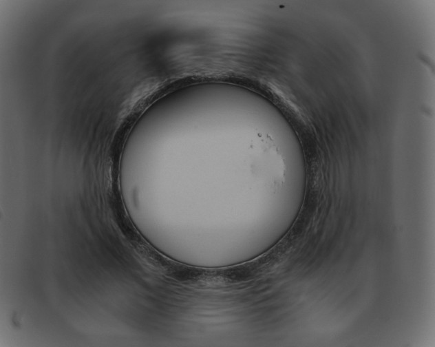 X0000093460685200710120950