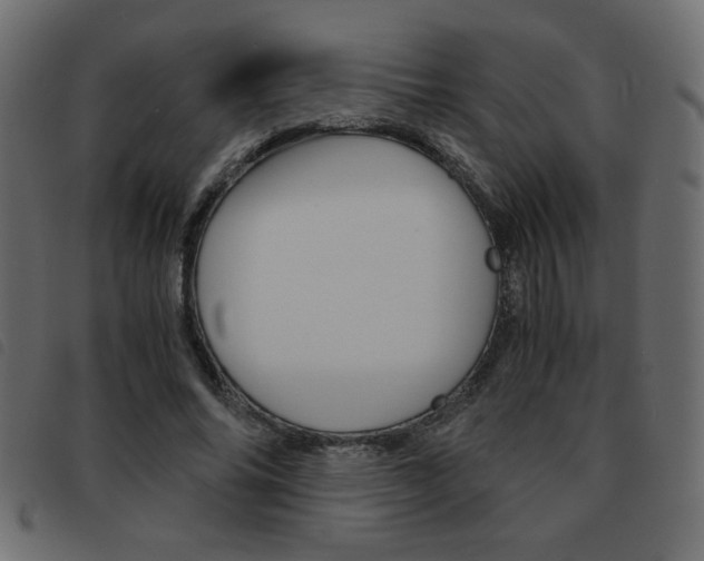 X0000093460686200710120950