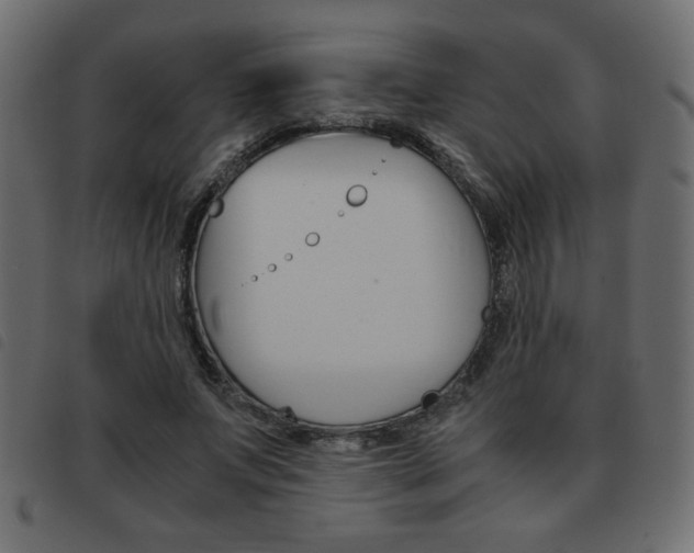 X0000093460687200710120950