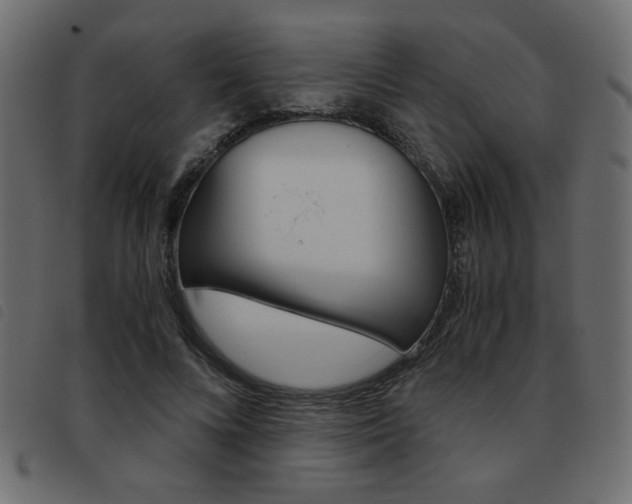 X0000093460688200710120950