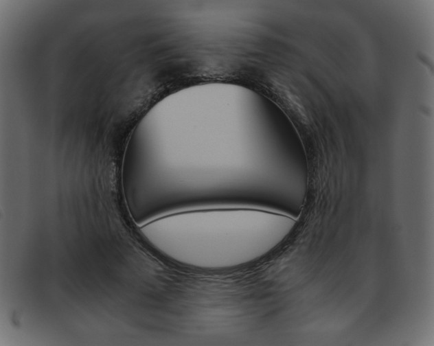 X0000093460689200710120950