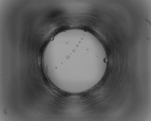 X0000093460691200710120950