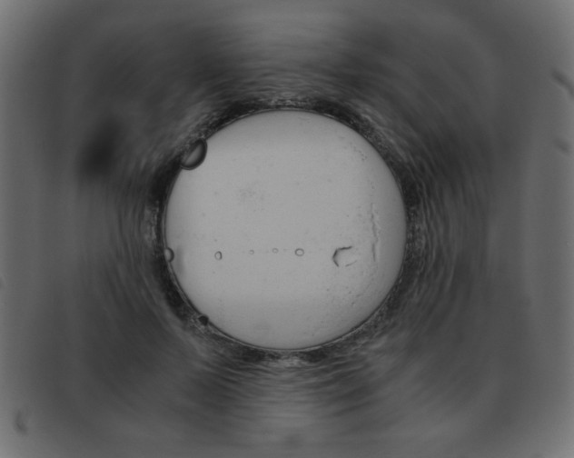 X0000093460695200710120950