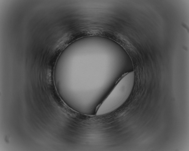 X0000093460696200710120950