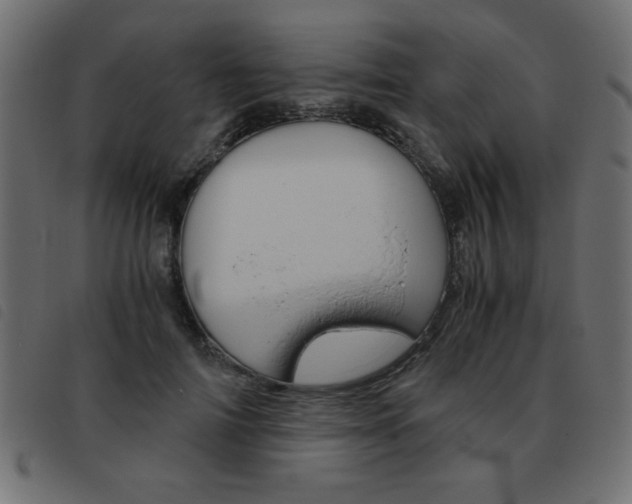 X0000093460698200710120950