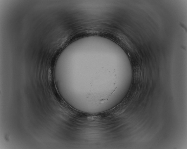X0000093460700200710120950