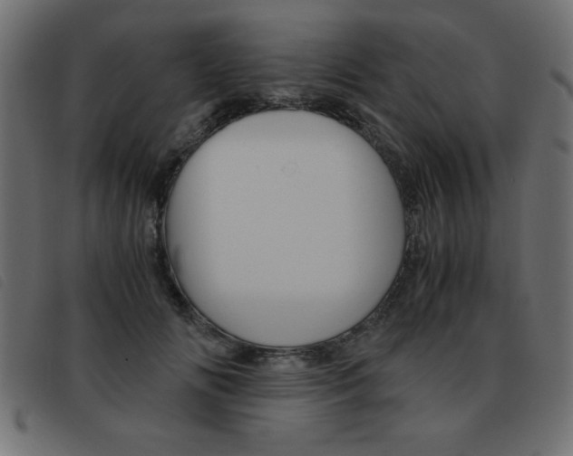 X0000093460702200710120950