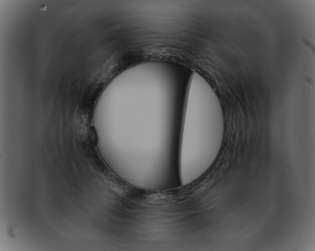 X0000093460708200710120950