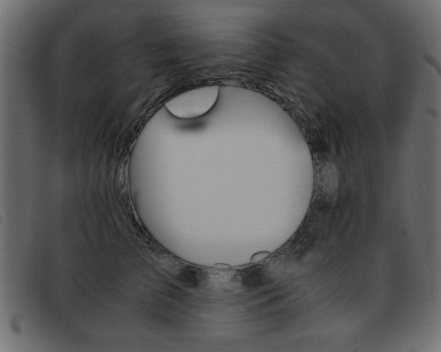 X0000093460709200710120950