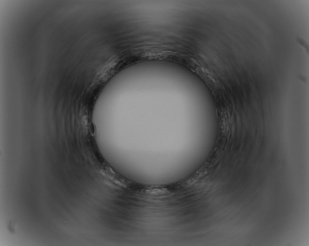 X0000093460716200710120950