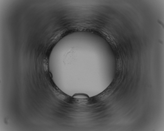 X0000093460719200710120950
