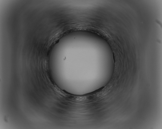 X0000093460720200710120950