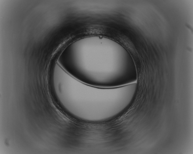 X0000093460722200710120949