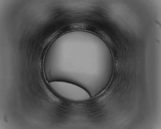 X0000093460725200710120949