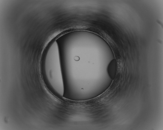 X0000093460726200710120949