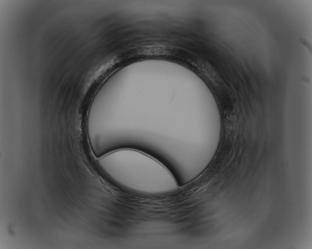 X0000093460727200710120949