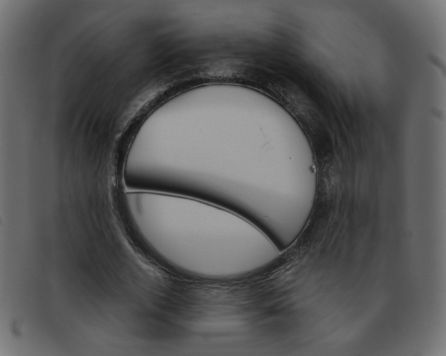 X0000093460728200710120949