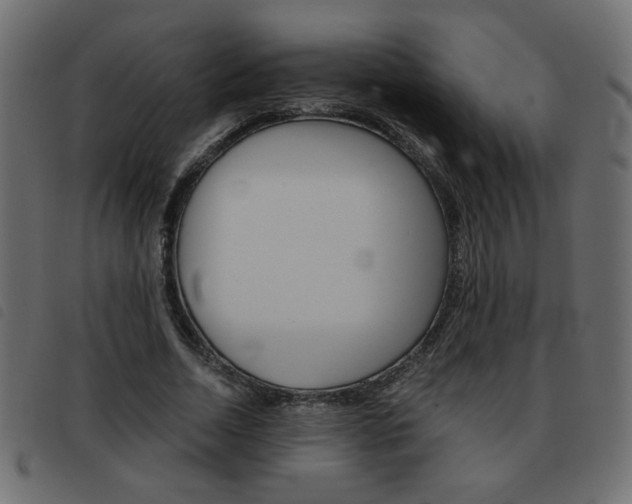 X0000093460730200710120949