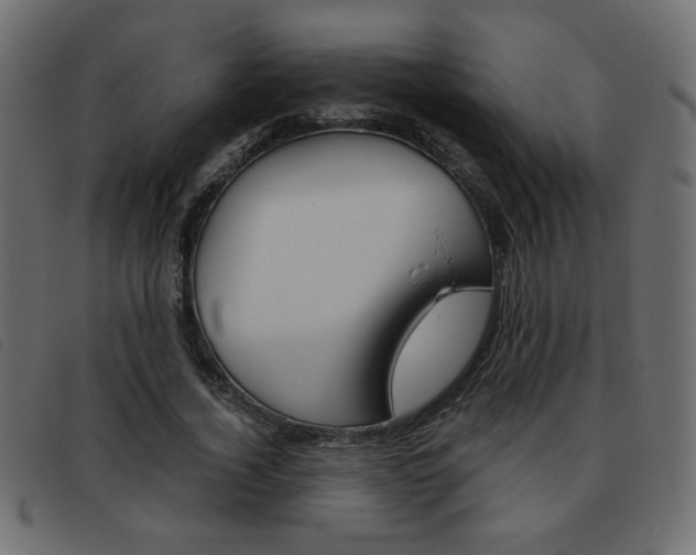 X0000093460732200710120949