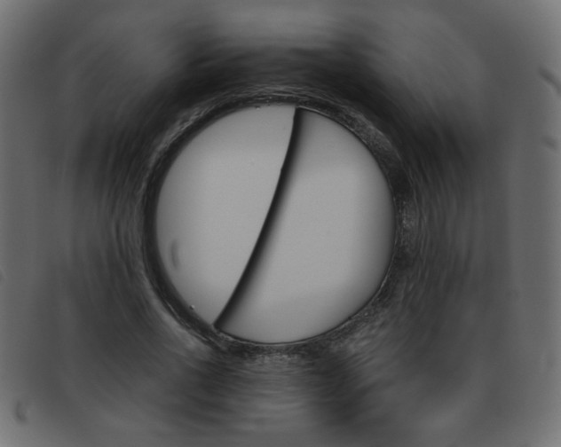 X0000093460734200710120949