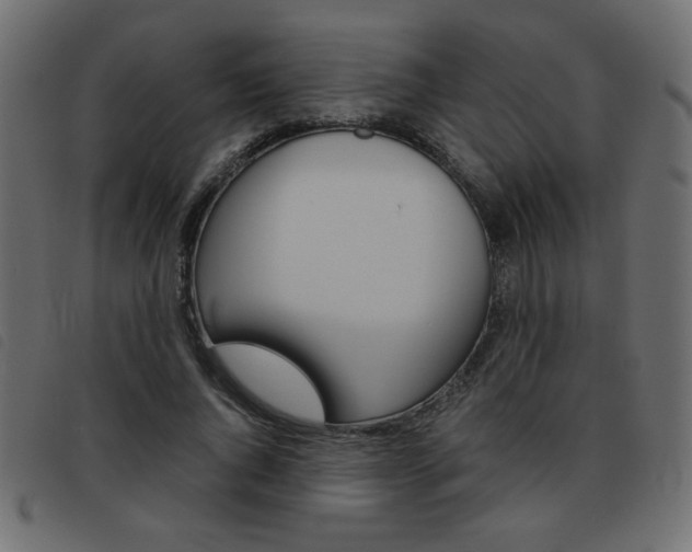 X0000093460736200710120949