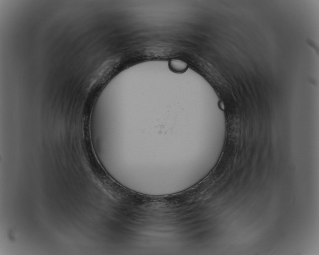 X0000093460738200710120949