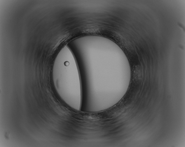 X0000093460739200710120949
