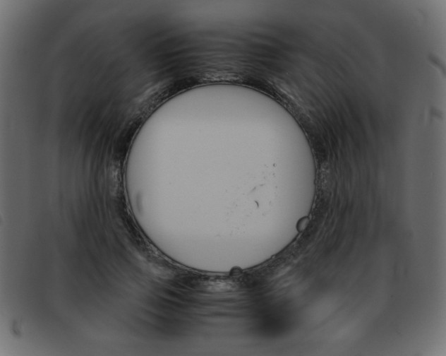X0000093460741200710120949