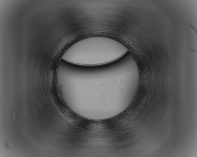 X0000093460742200710120949